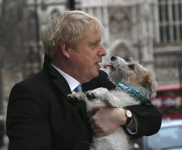 Boris johnson new dog online